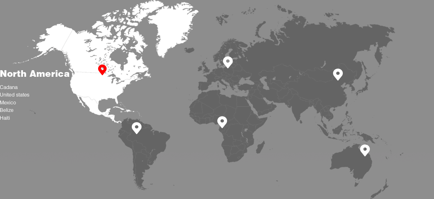 متوفر في أكثر من 140 دولة ومنطقة عبر القارات الخمس لتلبية احتياجات السوق المختلفة.
